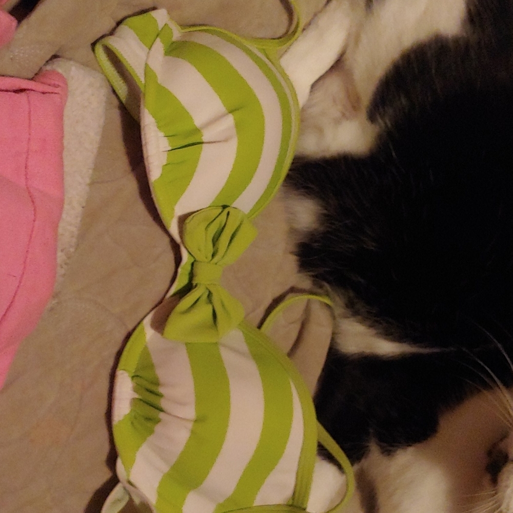 Holister bikini top
